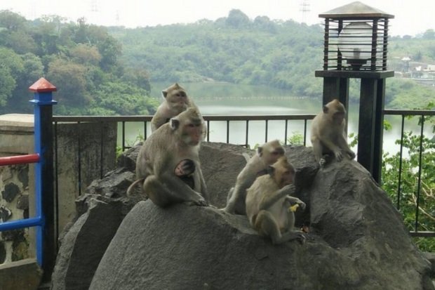 Harga Tiket dan Fasilitas Goa Kreo