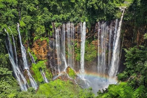 Aktivitas Wisata yang Menarik