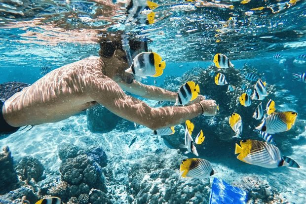 Aktivitas Wisata yang Wajib Dicoba