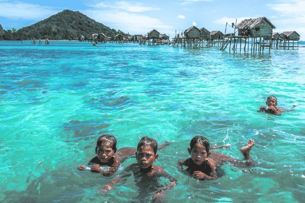 Kemampuan Menyelam dan Adaptasi Tubuh yang Unik