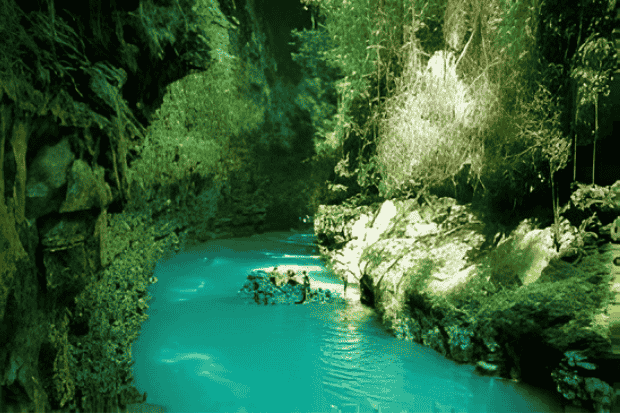 Koneksi Emosional dengan Alam Sekitar