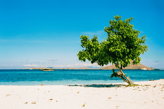 Suasana Tenang Pulau Kanawa yang Cocok untuk Istirahat