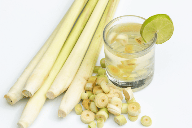 Cara Sederhana Menyiapkan Teh Serai Lemon