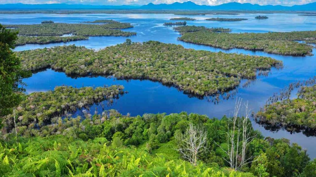 Danau Sentarum Kian Menarik Perhatian Wisatawan Nusantara