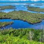 Danau Sentarum Kian Menarik Perhatian Wisatawan Nusantara