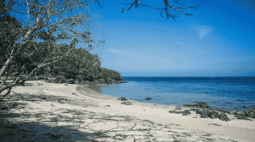 Pesona Pantai Bama Banyuwangi di Ujung Timur Jawa
