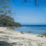 Pesona Pantai Bama Banyuwangi di Ujung Timur Jawa