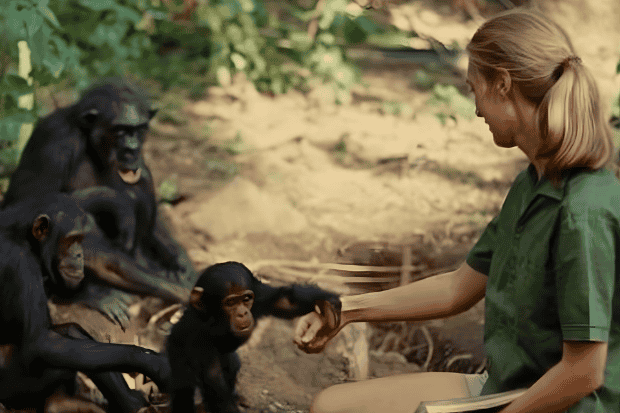 Harapan Melalui Aksi Kecil