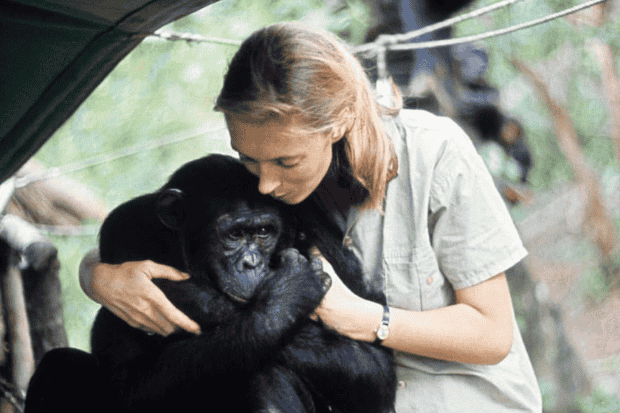 Hubungan Manusia dan Alam