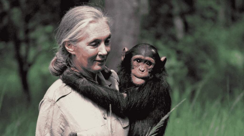 Jejak Kepedulian Dr Jane Goodall di Hati Manusia